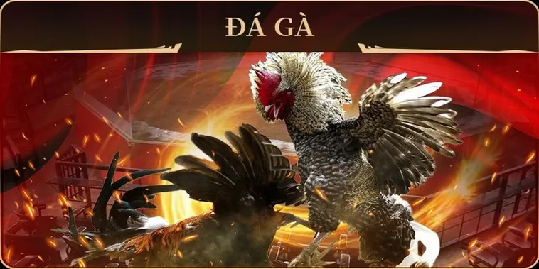 Chinh Phục Cách Chơi Đá Gà GA28 Tại 789P Với Mẹo Cược Hay 2 Chinh Phục Cách Chơi Đá Gà GA28 Tại 789P Với Mẹo Cược Hay